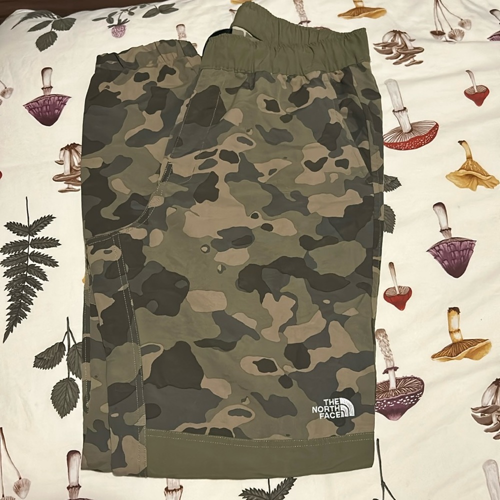 North face hiking pant